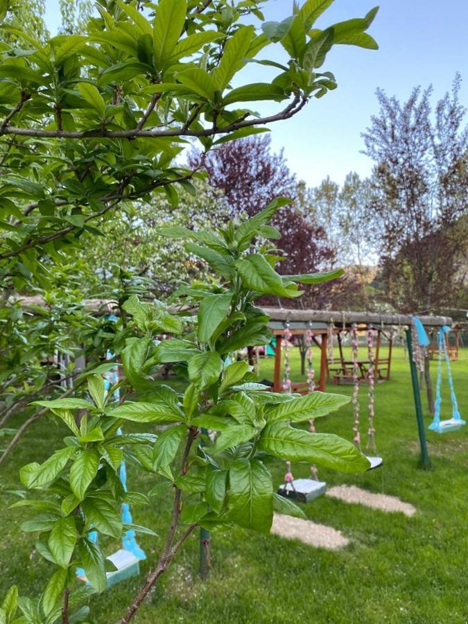 Abant Yesil Vadi Koc Pansiyon Dereceoren Экстерьер фото