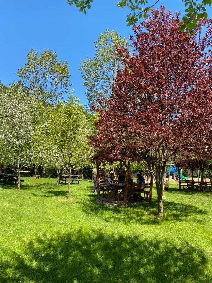 Abant Yesil Vadi Koc Pansiyon Dereceoren Экстерьер фото