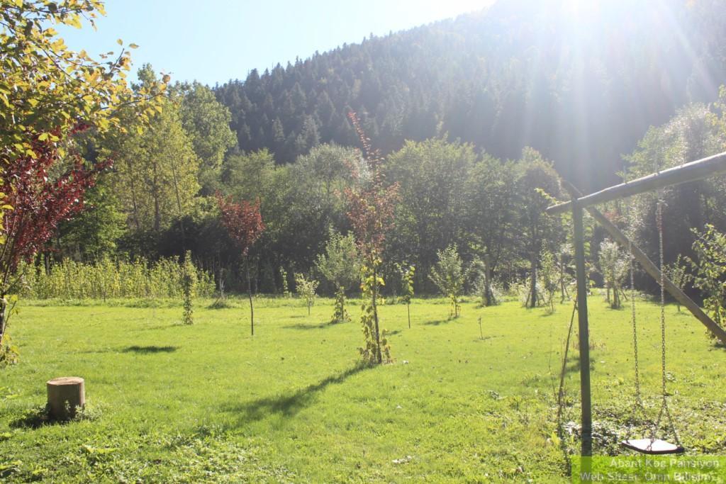 Abant Yesil Vadi Koc Pansiyon Dereceoren Экстерьер фото