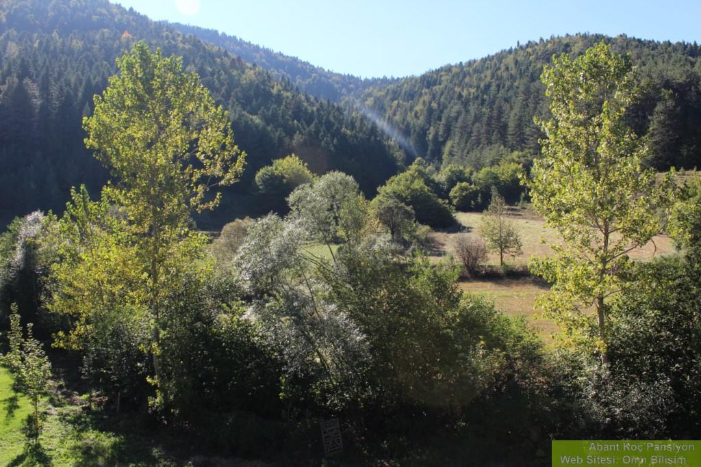 Abant Yesil Vadi Koc Pansiyon Dereceoren Экстерьер фото