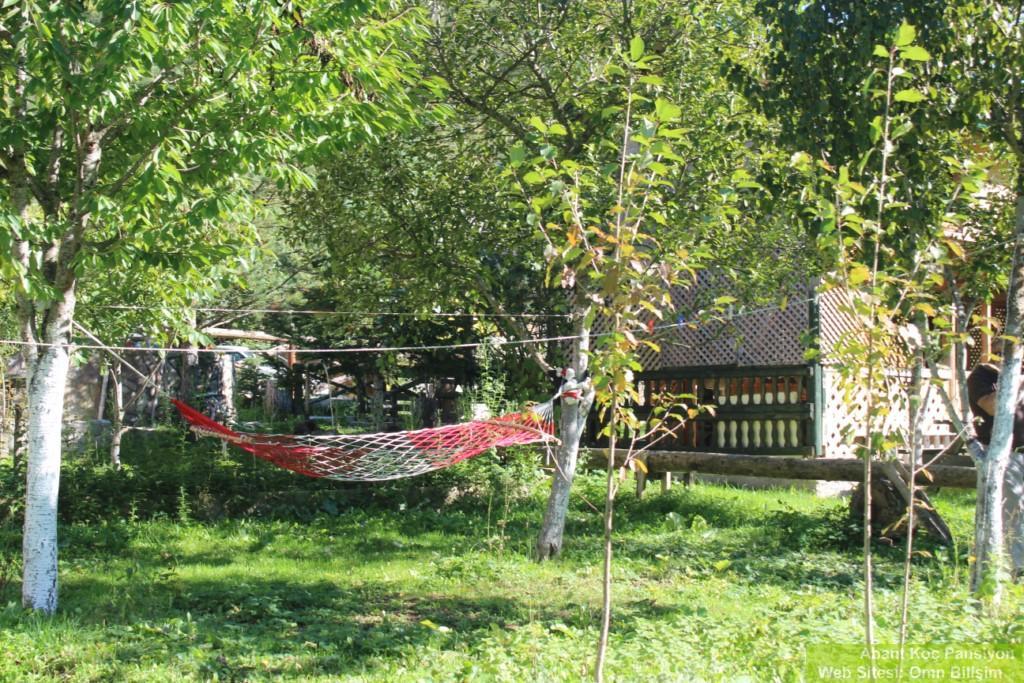 Abant Yesil Vadi Koc Pansiyon Dereceoren Экстерьер фото